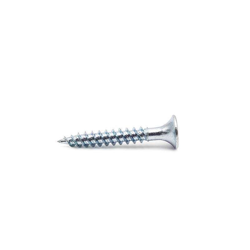 Phillips drive buble head drywall screw bulu white zinci patella bysso filo
