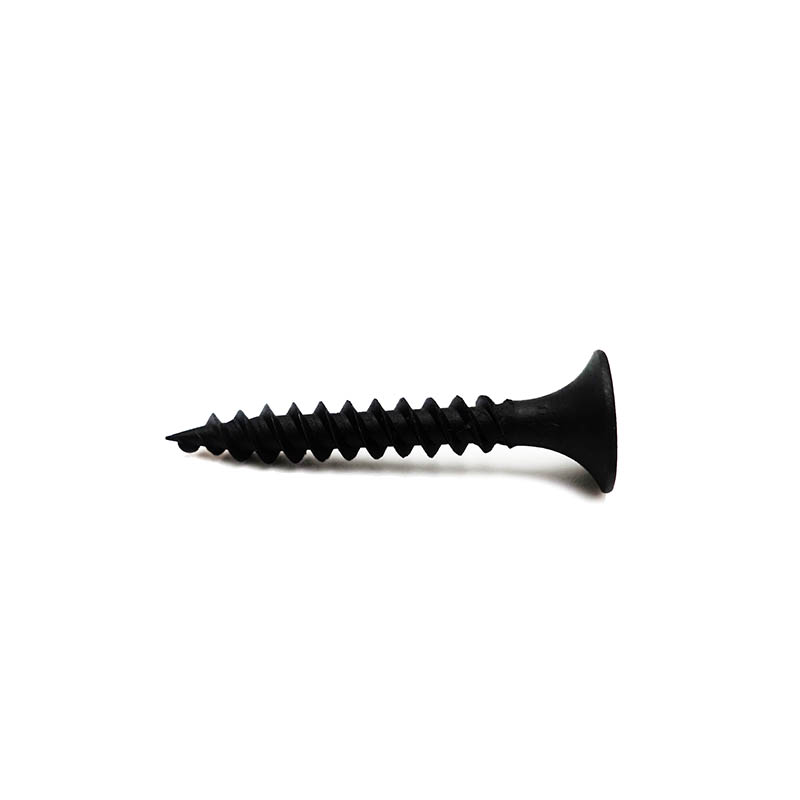 Phillips expellam bubile caput drywall cochlea nigra phosphated bysso thread1