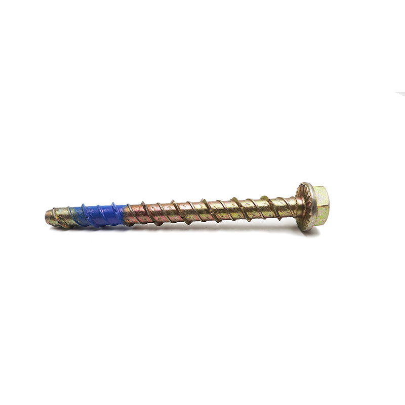 Hex washer caput cum nibs sui percussoque cochlea cum fuco et plano loco