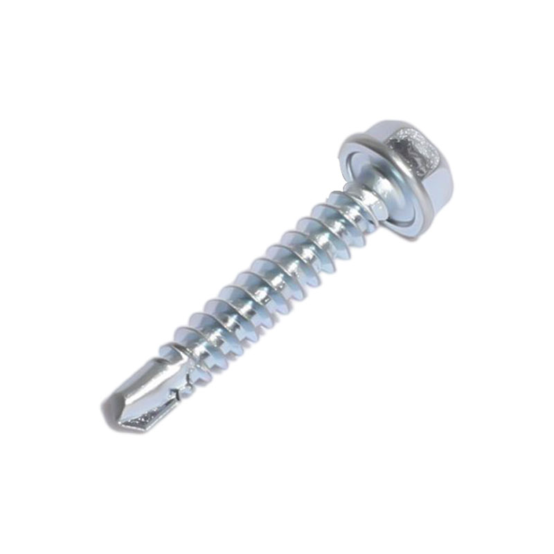 C1022a hex washer caput sui exercendis ANISOCYCLUM zinci patella