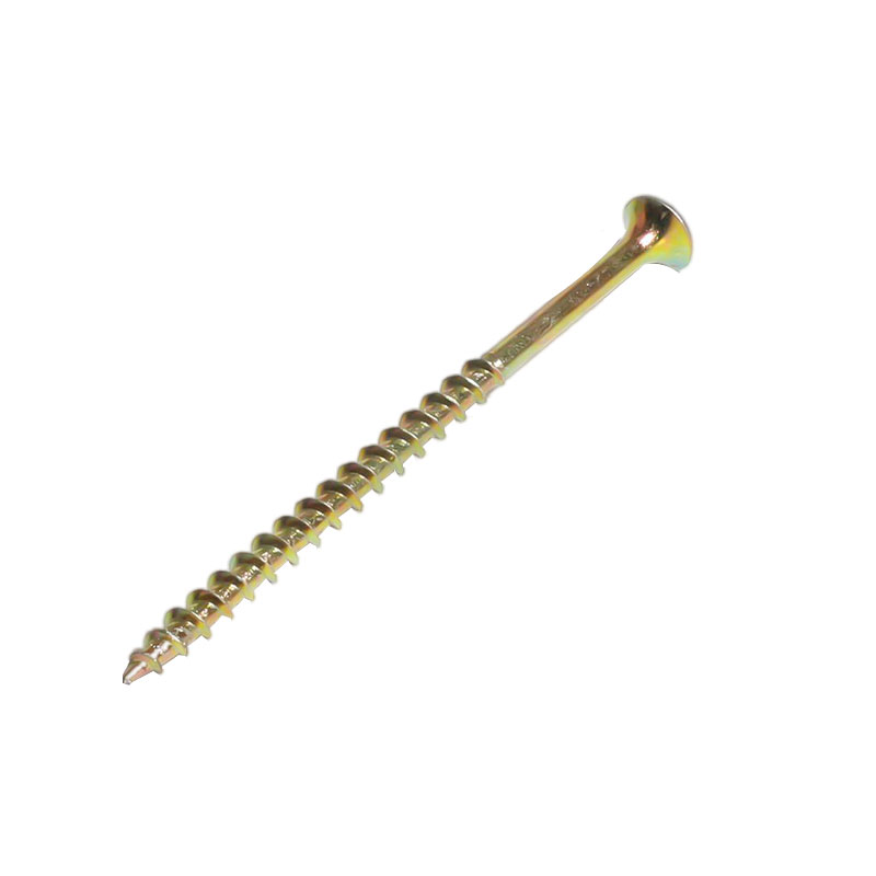 Phillips cornuta caput drywall cochlea lutea zinci patella